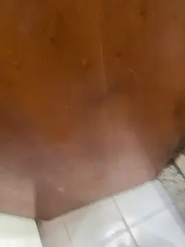 jeanramon01 online show from March 2026 07:30:02 PM