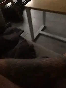 psilocibina22 online show from February 2026 09:21:02 AM