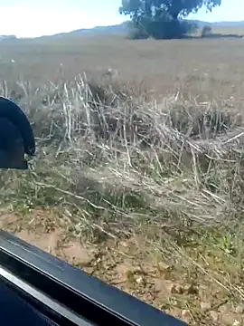 GanaderoMorboso online show from February 2026 12:02:02 PM