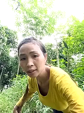 xiaogoal online show from July 2026 10:21:02 AM