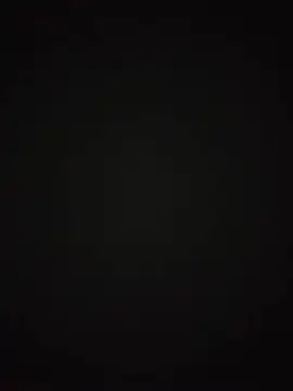 SLfilig online show from July 2026 01:26:01 PM