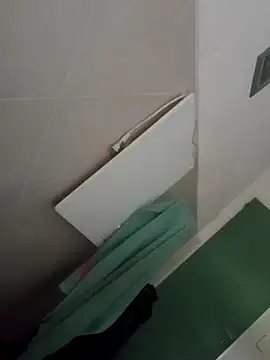 Snapshot of ger211 chatting on February 2026 06:04:02 PM ger211 online show from February 2026 06:04:02 PM