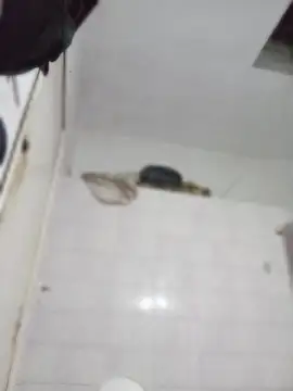 darkgodessone online show from April 2026 11:35:02 PM