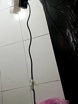 Sana-vn online show from March 2026 11:40:01 AM