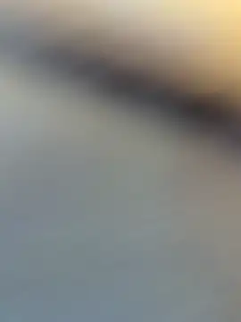 wy2026 online show from April 2026 07:09:01 AM