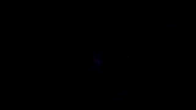 NeedyQueen online show from March 2026 01:23:01 AM