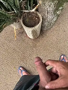 dogfrota online show from January 2026 07:30:01 PM