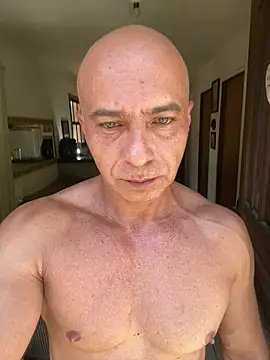 dogfrota online show from February 2026 03:16:01 PM