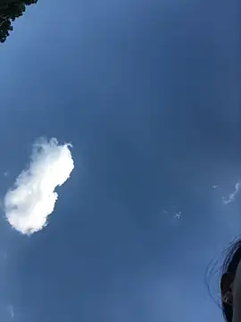 sun-shii online show from April 2026 09:47:01 AM