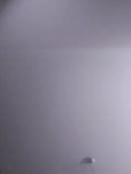 Snapshot of NickoHetero chatting on February 2026 10:03:02 PM NickoHetero online show from February 2026 10:03:02 PM