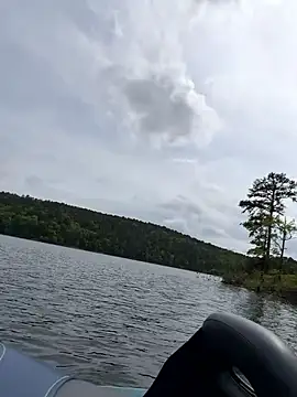 tastemecaroline online show from April 2026 08:20:02 PM