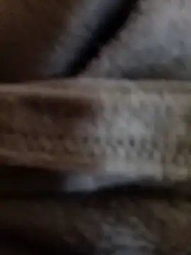 Daisy91 online show from January 2026 03:06:01 PM