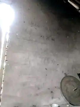 Gummiesu online show from February 2026 06:40:02 AM