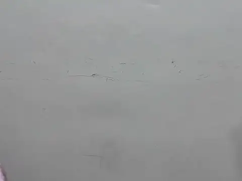 GaggingGirl  online show from March 2026 03:45:01 PM