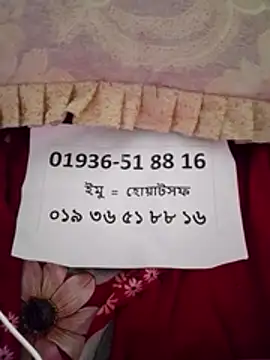 maisamim2 online show from March 2026 08:22:02 AM