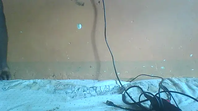 Sexyass100 online show from April 2026 12:52:02 PM