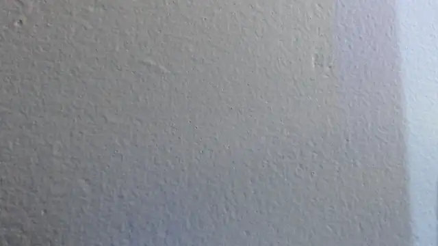 adara cute 69 online show from March 2026 07:54:02 PM