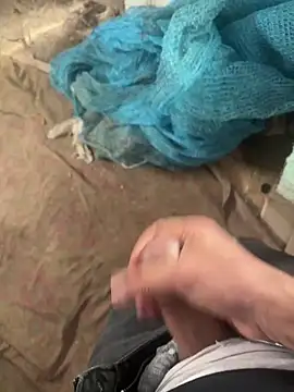 Snapshot of dragon_ndragos chatting on February 2026 11:37:02 AM dragon ndragos online show from February 2026 11:37:02 AM