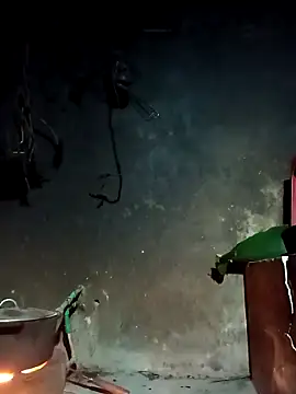 Hoa-tuylip online show from March 2026 10:16:01 PM