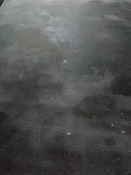 Sgs594802799 online show from March 2026 08:24:01 PM