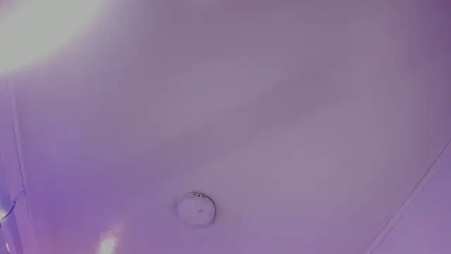 MOLY KILLER online show from February 2026 07:29:01 PM