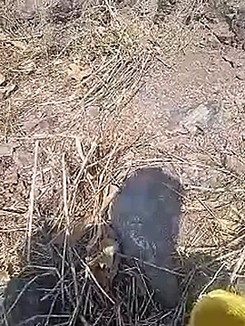 Cute Boy 4 online show from March 2026 10:09:02 AM