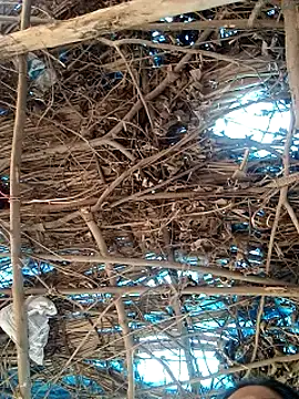 Rajni248096 online show from March 2026 07:58:02 AM