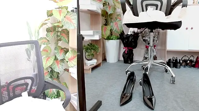 Zinna999 online show from March 2026 06:32:01 AM