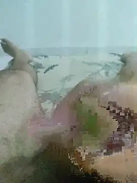 putopau15 online show from March 2026 12:04:02 AM