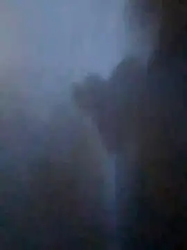 S7LEALTADPERVLIMA7 online show from April 2026 11:07:01 PM