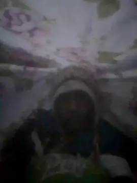 S7LEALTADPERVLIMA7 online show from June 2026 03:25:02 PM