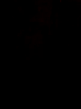 S7LEALTADPERVLIMA7 online show from June 2026 07:27:02 PM