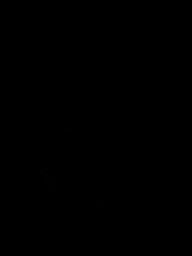 S7LEALTADPERVLIMA7 online show from July 2026 04:13:01 PM