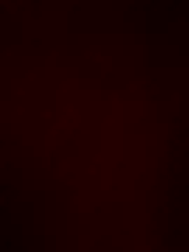 macariocb online show from May 2026 01:34:01 AM