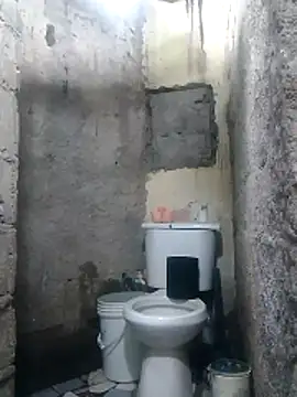 polla large active online show from April 2026 06:35:01 PM