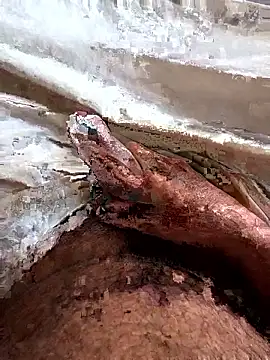 manish 8826 online show from April 2026 01:36:01 AM