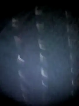 BIG QWEEN NO1 online show from March 2026 10:49:01 PM