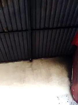 Linka998 online show from March 2026 03:32:01 AM