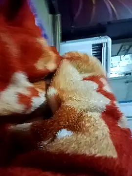 yusu 3 online show from March 2026 06:45:02 PM