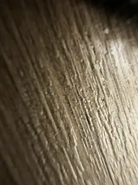 brayangz  online show from April 2026 12:43:02 AM