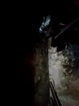 molly-xx online show from March 2026 11:00:02 PM