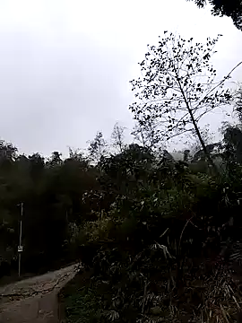 lovely-742 online show from March 2026 01:54:02 AM