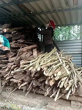 nelina 12345 online show from April 2026 12:17:01 AM