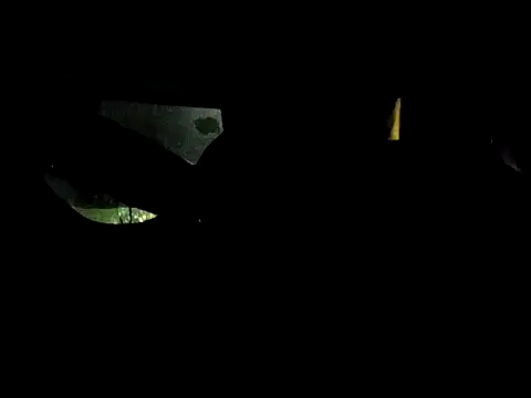 dustbunny64 online show from June 2026 11:04:01 AM
