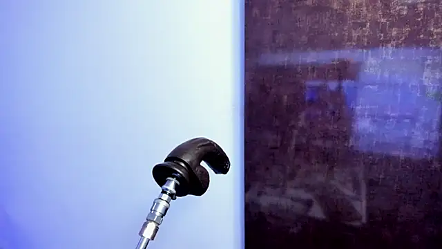 irene lopes online show from March 2026 03:58:02 AM