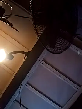 headfats369 online show from March 2026 09:06:02 AM