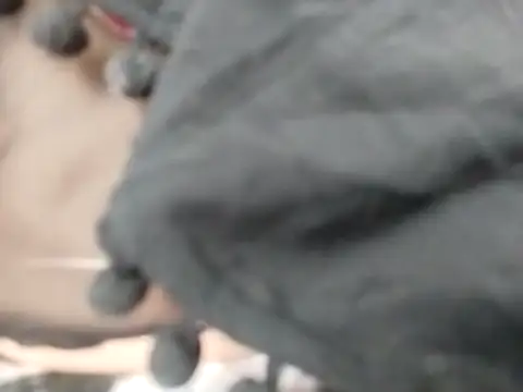 Snapshot of VeraVS chatting on February 2026 09:21:02 AM VeraVS online show from February 2026 09:21:02 AM