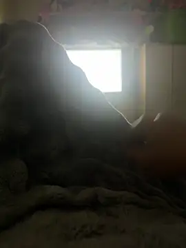 kakarot241515 online show from March 2026 03:45:01 AM