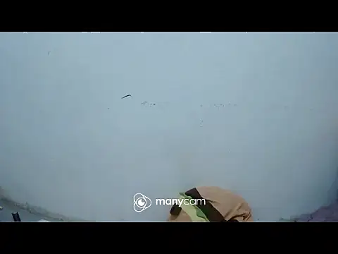 exotic girl69x online show from March 2026 02:45:01 PM