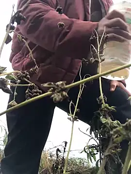 Nth5h online show from March 2026 04:18:01 AM